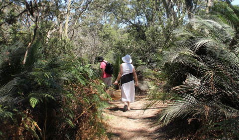 Nelson Lagoon - Yamba Accommodation 0