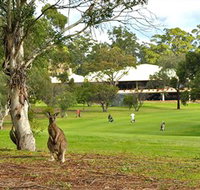 Pambula Merimbula Golf Club - Yamba Accommodation