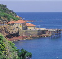 Merimbula Aquarium - Yamba Accommodation