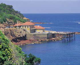 Merimbula Aquarium - Yamba Accommodation 0