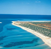 Monkey Mia - Yamba Accommodation