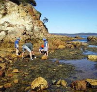 Sapphire Coast Marine Discovery Centre - Yamba Accommodation