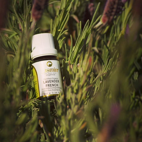 Jasmin Organics Skincare Farm And Factory - Yamba Accommodation 7