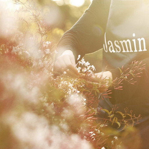 Jasmin Organics Skincare Farm And Factory - Yamba Accommodation 8