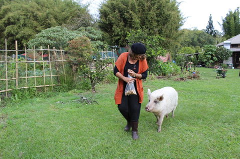 Djanbung Permaculture Gardens - Yamba Accommodation 7