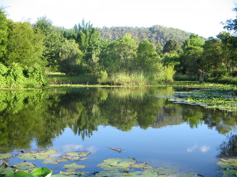 Djanbung Permaculture Gardens - Yamba Accommodation 10