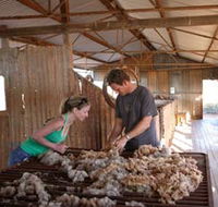 Peron Homestead - Yamba Accommodation