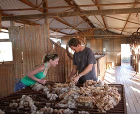 Peron Homestead - Yamba Accommodation 0