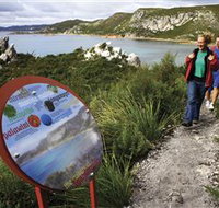 Rocky Cape National Park - Yamba Accommodation