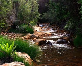 Hellyer Gorge - Yamba Accommodation 1