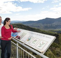 Whyte Hills Lookout - Yamba Accommodation