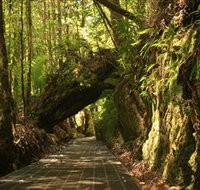 Philosopher Falls - Yamba Accommodation