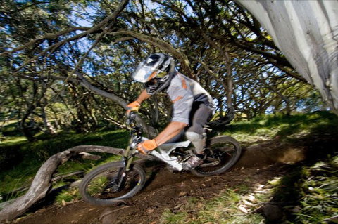 All Terrain Cycles - Yamba Accommodation 0