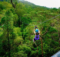 Canyon Flyer - Yamba Accommodation