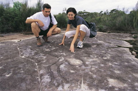 Sydney Coast Walks - Yamba Accommodation 3