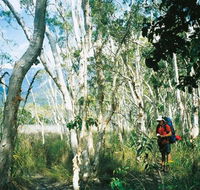 Thorsborne Trail Hinchinbrook Island National Park - Yamba Accommodation