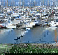 Southern Moreton Bay Tourist Drive - Yamba Accommodation