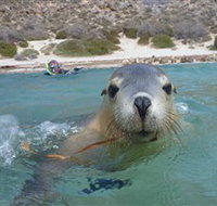 Calypso Star Charters - Yamba Accommodation