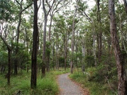 Caboolture Regional Environment Education Centre - Walking Trails - Yamba Accommodation 0