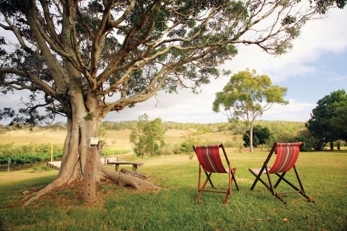 Drayton QLD Yamba Accommodation