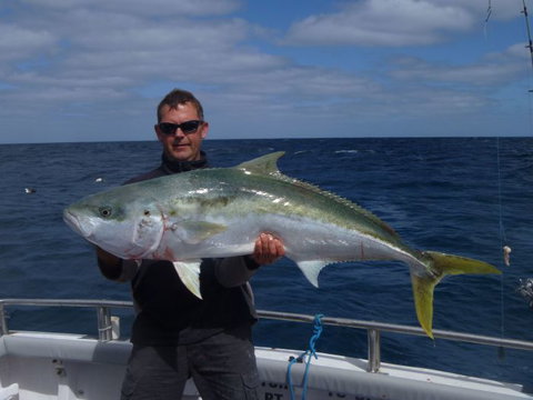 Reef Encounters Fishing Charters. - Yamba Accommodation 4