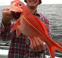 Goin' Off Safaris - Yamba Accommodation