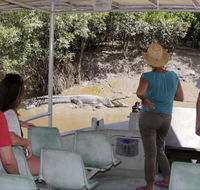 Whitsunday Crocodile Safari - Yamba Accommodation