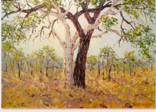 Peter Lawson Fine Art - Yamba Accommodation 1