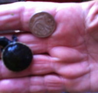 Hurleys Aquariums - Yamba Accommodation