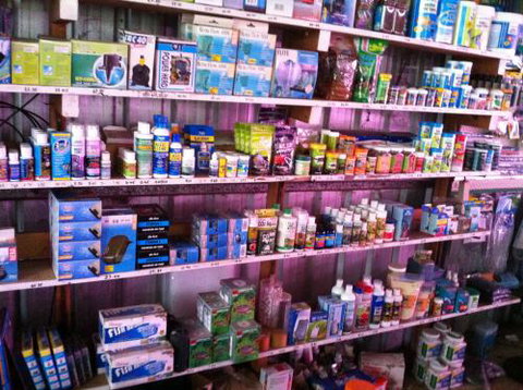 Hurley’s Aquariums - Yamba Accommodation 1