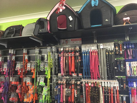 Pets Wonderland - Yamba Accommodation 1