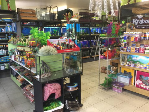 Pets Wonderland - Yamba Accommodation 2