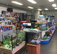 Nambour Pet Shop - Yamba Accommodation