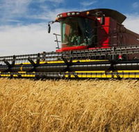 Quirindi Grain and produce - Yamba Accommodation