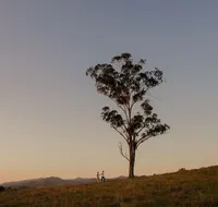 Faulls Ridge Winery - Yamba Accommodation