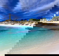 Rottnest Island Grand Tour Including Lunch and Historical Train Ride - Yamba Accommodation