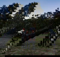 Stargazing Busselton with Mobile Observatory - Yamba Accommodation