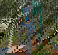 Busselton High Ropes and Zipline Adventure - Yamba Accommodation