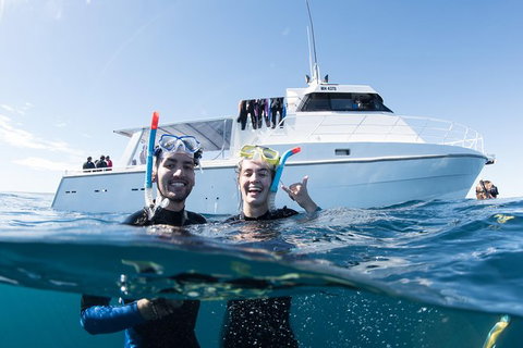 Swim With Whale Sharks - Ningaloo Reef - 3 Islands Whale Shark Dive - Yamba Accommodation 20