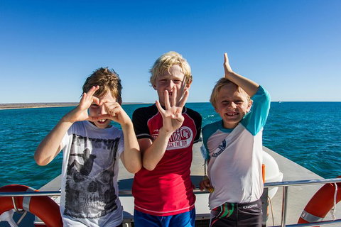 Swim With Whale Sharks - Ningaloo Reef - 3 Islands Whale Shark Dive - Yamba Accommodation 15