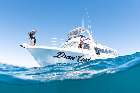 Swim With Whale Sharks - Ningaloo Reef - 3 Islands Whale Shark Dive - Yamba Accommodation 12