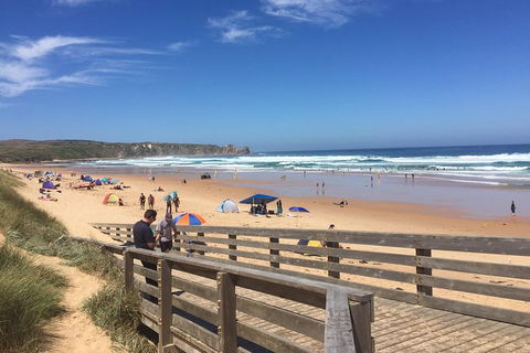 Day Tour Of Phillip Island & Surrounding Region - Yamba Accommodation 6