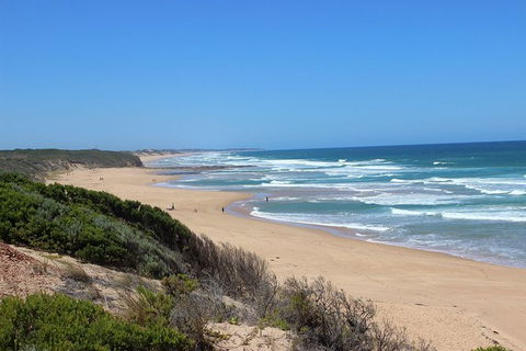 Day Tour Of Phillip Island & Surrounding Region - Yamba Accommodation 1