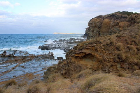 Day Tour Of Phillip Island & Surrounding Region - Yamba Accommodation 11