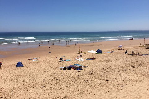 Day Tour Of Phillip Island & Surrounding Region - Yamba Accommodation 7
