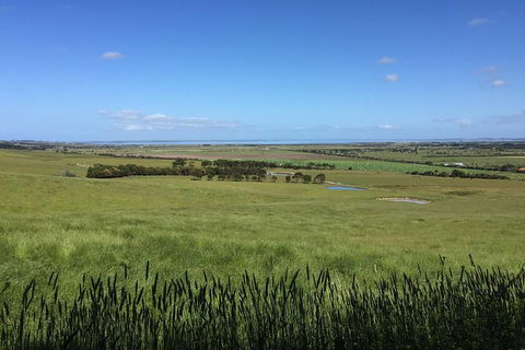 Day Tour Of Phillip Island & Surrounding Region - Yamba Accommodation 4
