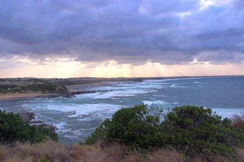 Day Tour Of Phillip Island & Surrounding Region - Yamba Accommodation 12