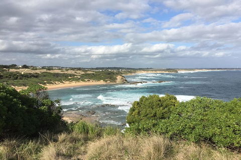 Day Tour Of Phillip Island & Surrounding Region - Yamba Accommodation 10