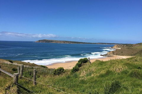 Day Tour Of Phillip Island & Surrounding Region - Yamba Accommodation 5