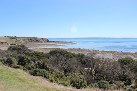 Day Tour Of Phillip Island & Surrounding Region - Yamba Accommodation 2